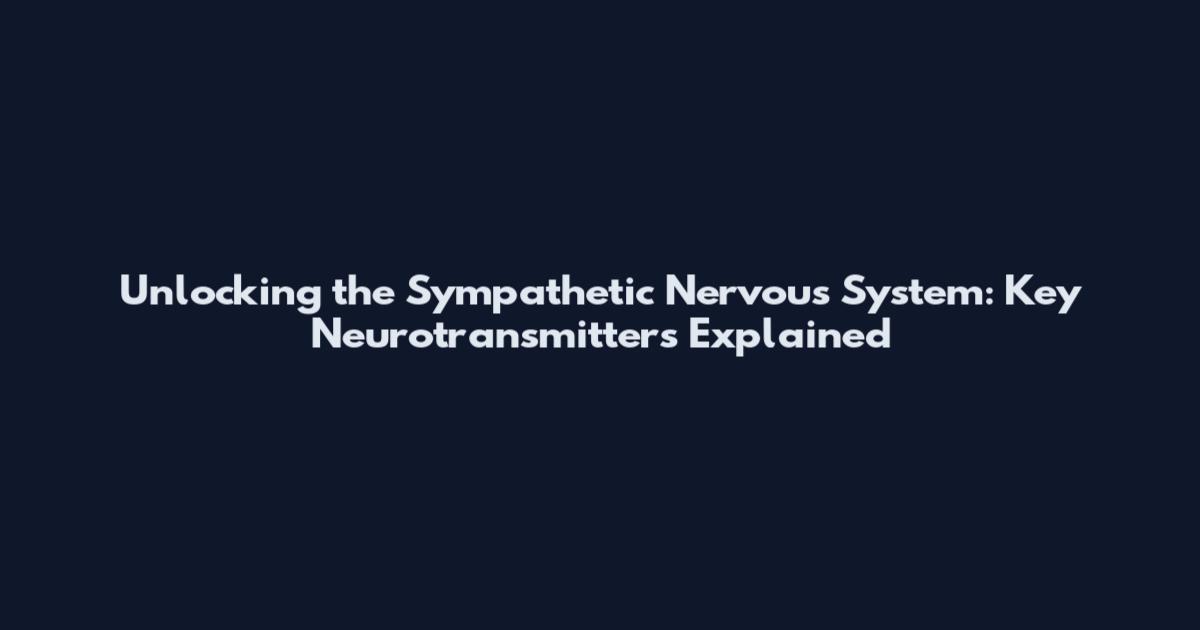 Unlocking the Sympathetic Nervous System: Key Neurotransmitters Explained