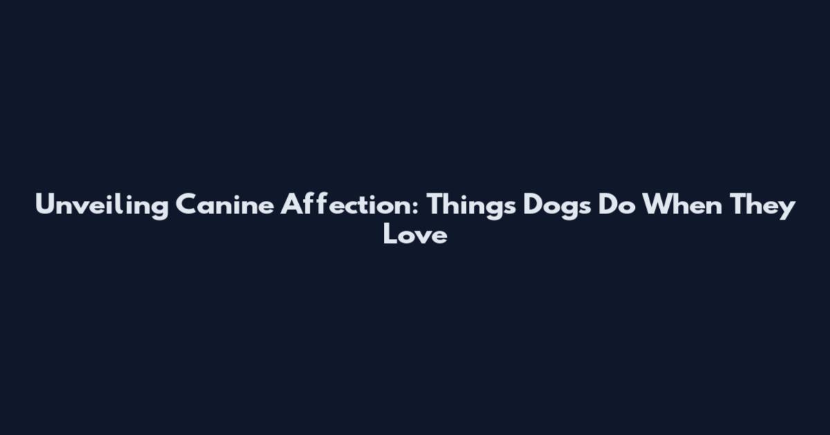 Unveiling Canine Affection: Things Dogs Do When They Love