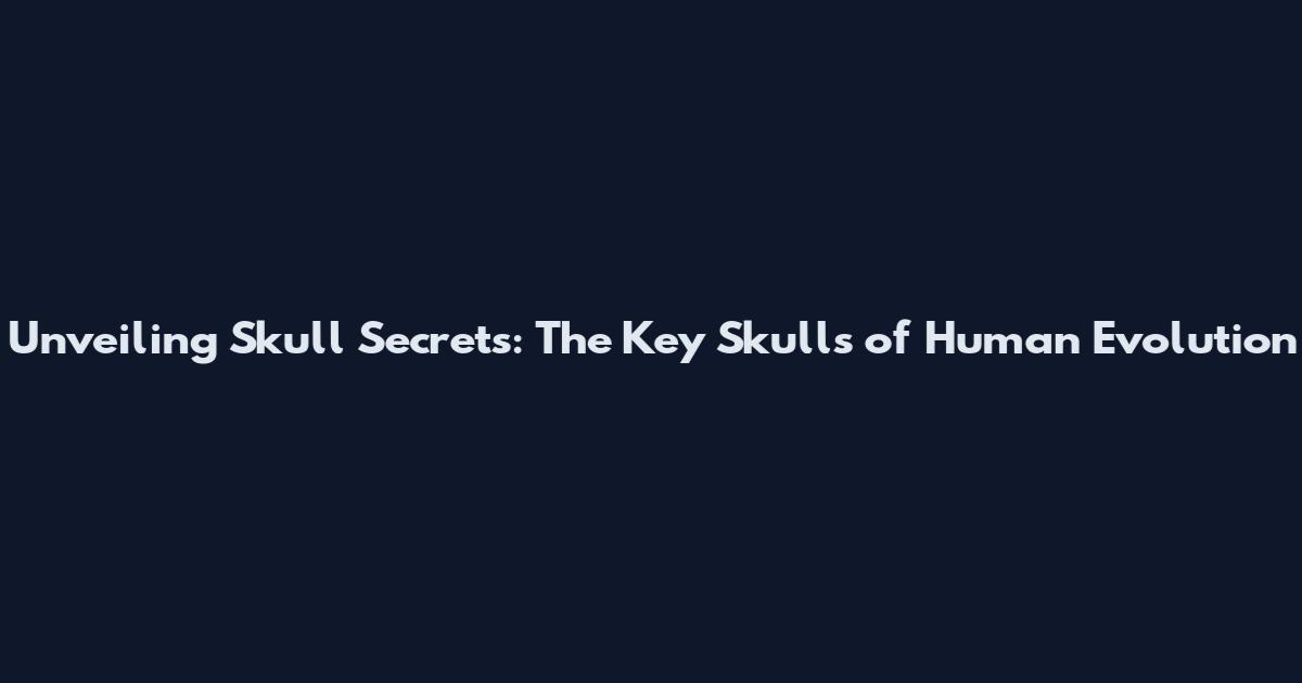 Unveiling Skull Secrets: The Key Skulls of Human Evolution