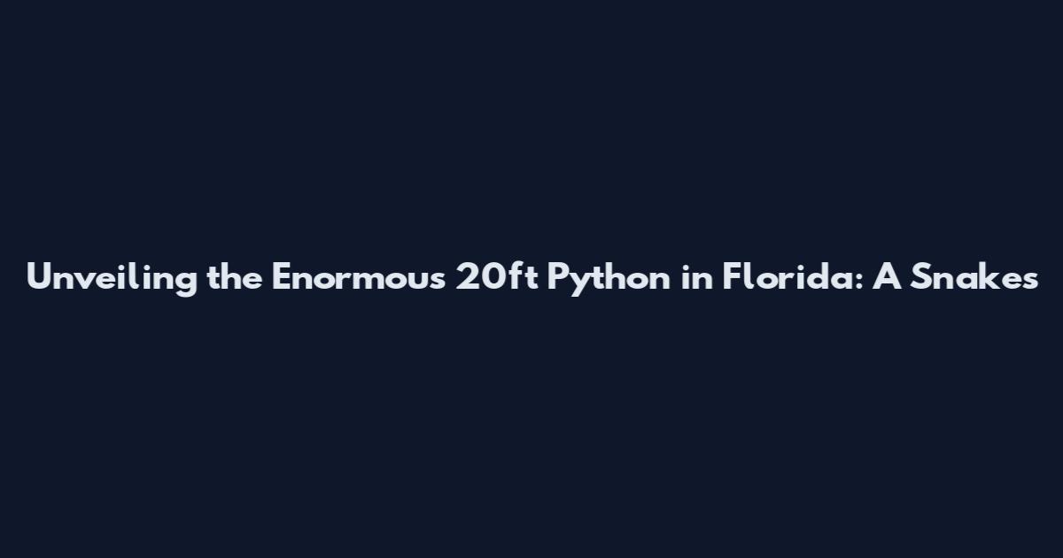 Unveiling the Enormous 20ft Python in Florida: A Snakes'