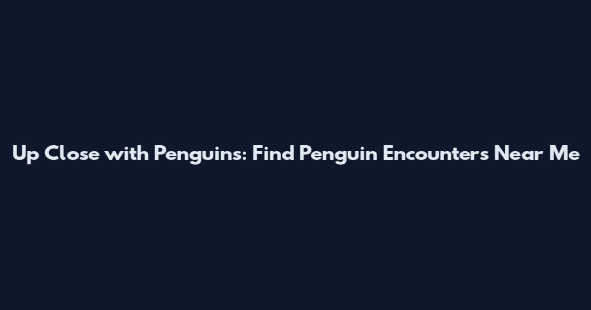 Up Close with Penguins: Find Penguin Encounters Near Me