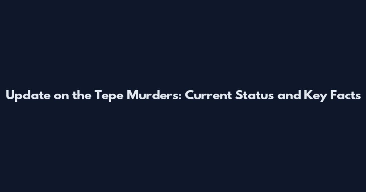 Update on the Tepe Murders: Current Status and Key Facts