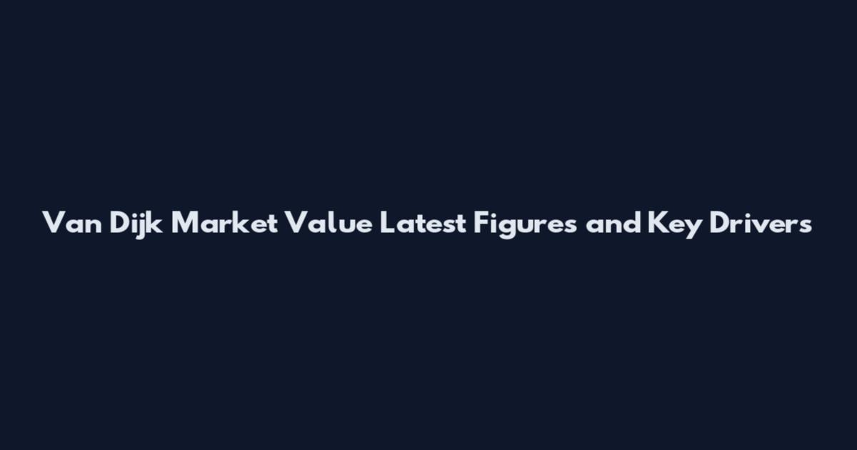 Van Dijk Market Value Latest Figures and Key Drivers