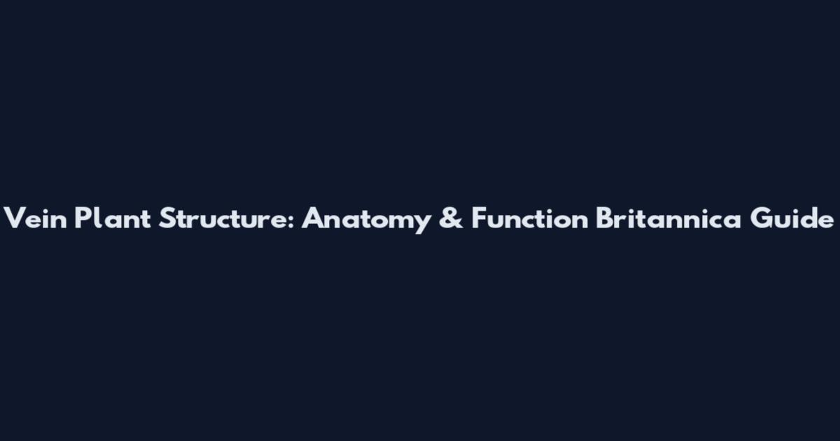 Vein Plant Structure: Anatomy & Function Britannica Guide