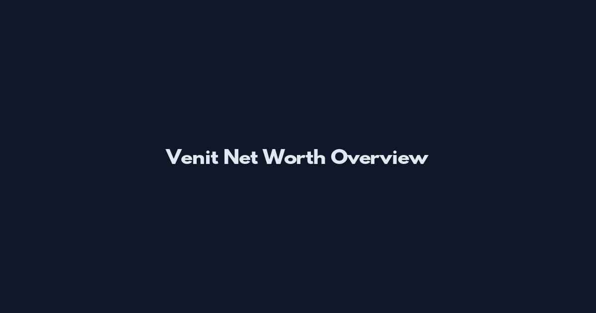 Venit Net Worth Overview