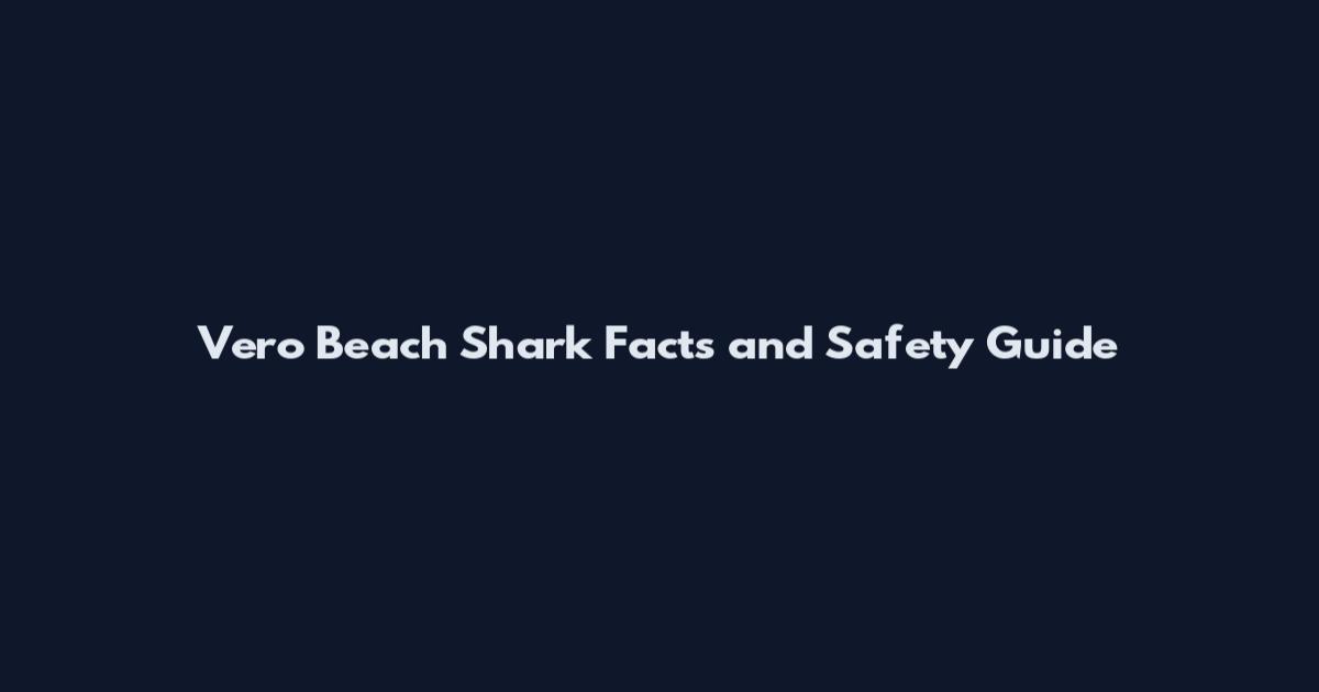 Vero Beach Shark Facts and Safety Guide