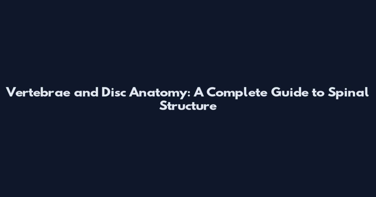 Vertebrae and Disc Anatomy: A Complete Guide to Spinal Structure