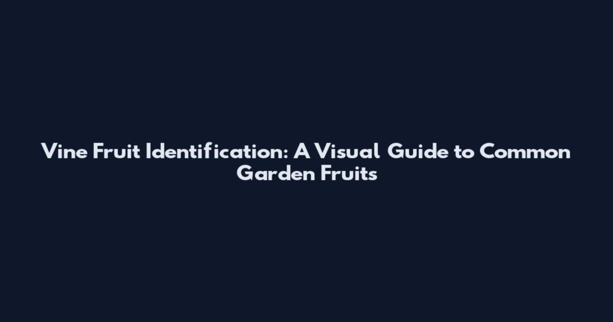 Vine Fruit Identification: A Visual Guide to Common Garden Fruits