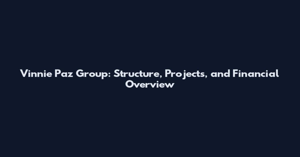 Vinnie Paz Group: Structure, Projects, and Financial Overview