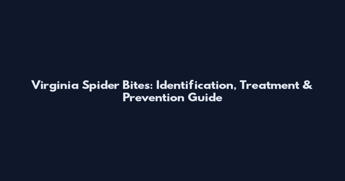 Virginia Spider Bites: Identification, Treatment & Prevention Guide