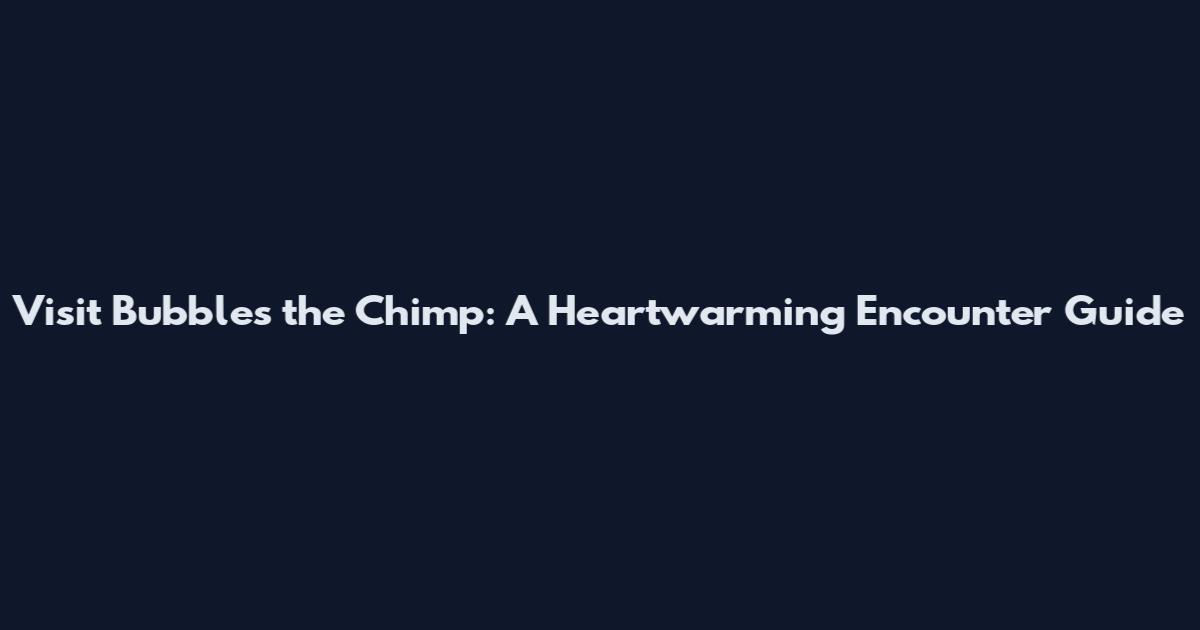 Visit Bubbles the Chimp: A Heartwarming Encounter Guide