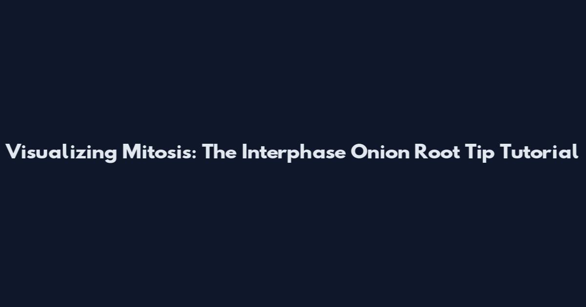 Visualizing Mitosis: The Interphase Onion Root Tip Tutorial