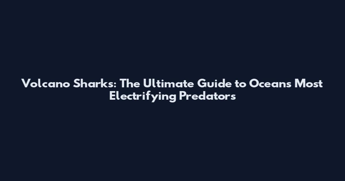 Volcano Sharks: The Ultimate Guide to Ocean's Most Electrifying Predators