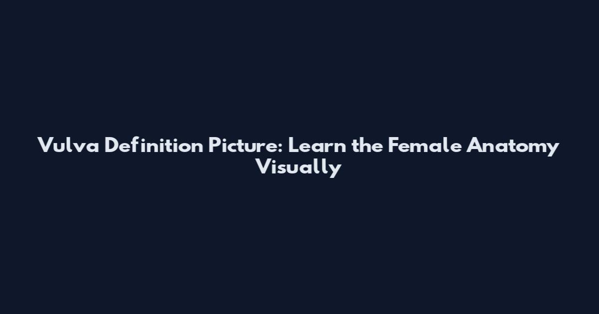Vulva Definition Picture: Learn the Female Anatomy Visually
