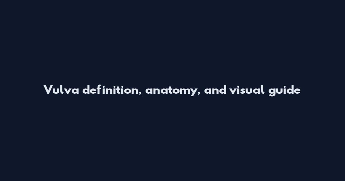 Vulva definition, anatomy, and visual guide