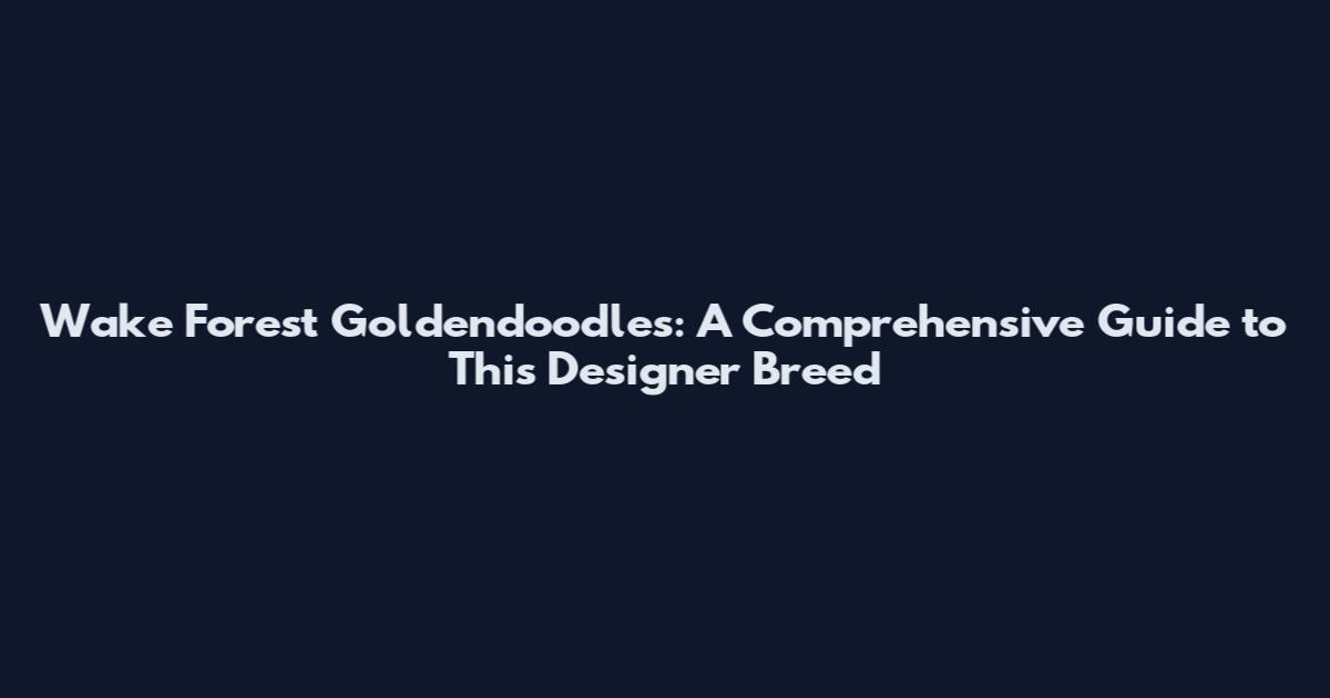 Wake Forest Goldendoodles: A Comprehensive Guide to This Designer Breed