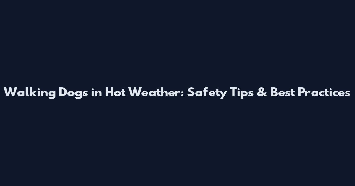Walking Dogs in Hot Weather: Safety Tips & Best Practices