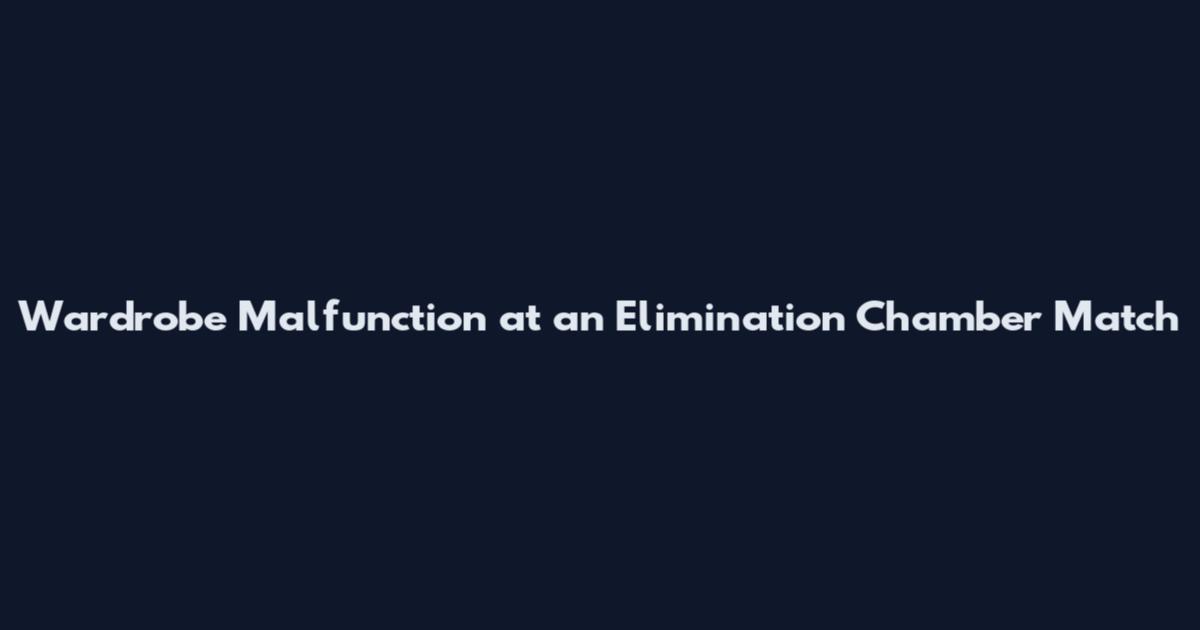 Wardrobe Malfunction at an Elimination Chamber Match