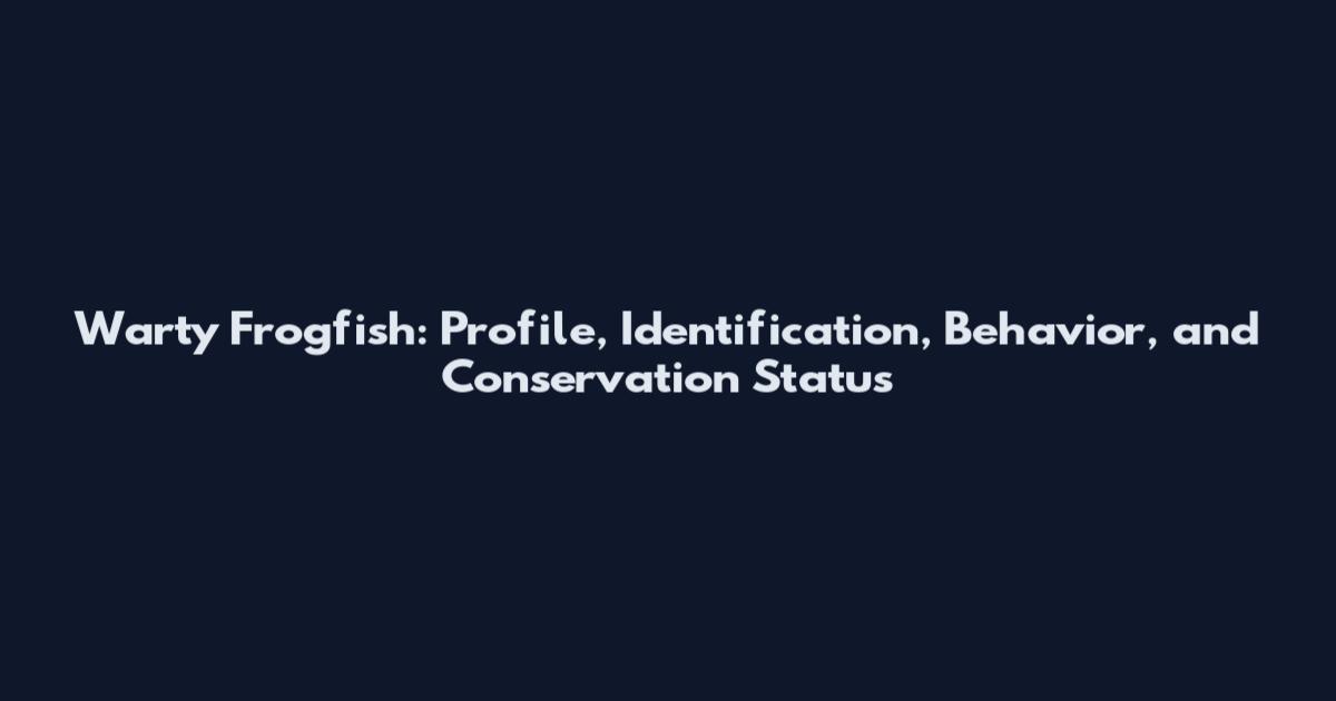 Warty Frogfish: Profile, Identification, Behavior, and Conservation Status