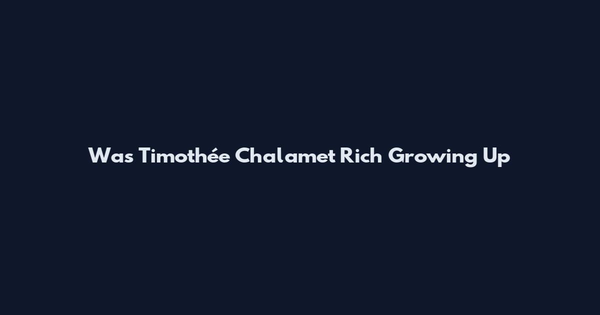 Was Timothée Chalamet Rich Growing Up
