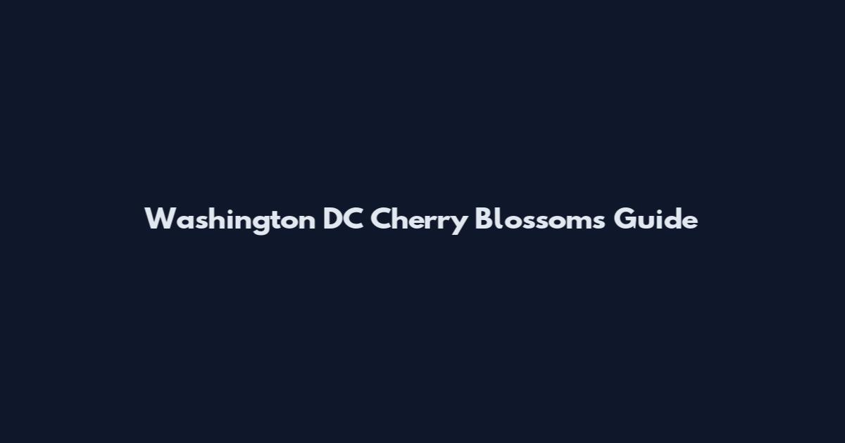 Washington DC Cherry Blossoms Guide
