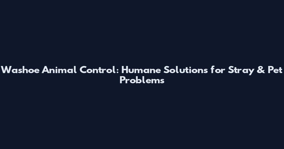 Washoe Animal Control: Humane Solutions for Stray & Pet Problems
