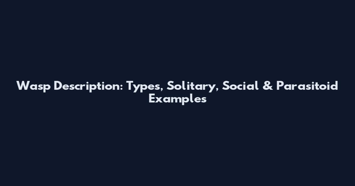 Wasp Description: Types, Solitary, Social & Parasitoid Examples