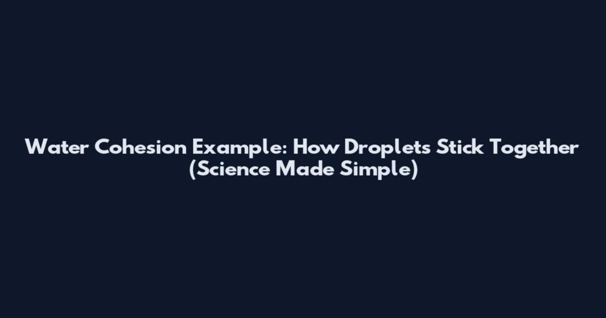 Water Cohesion Example: How Droplets Stick Together (Science Made Simple)