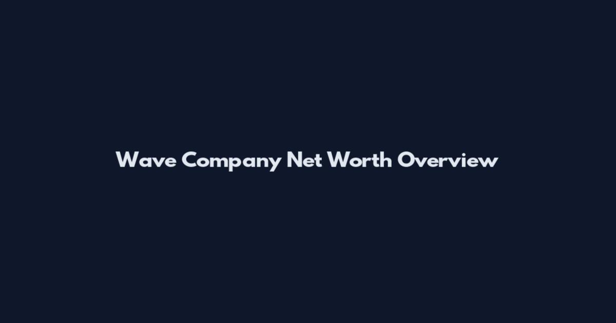 Wave Company Net Worth Overview