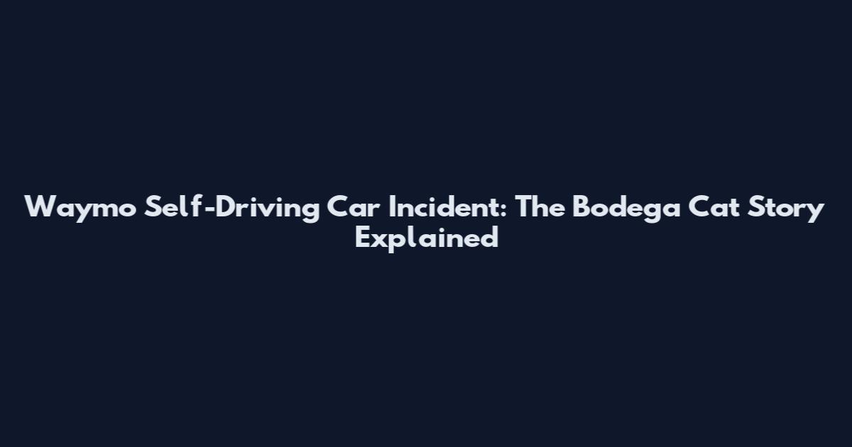 Waymo Self-Driving Car Incident: The Bodega Cat Story Explained
