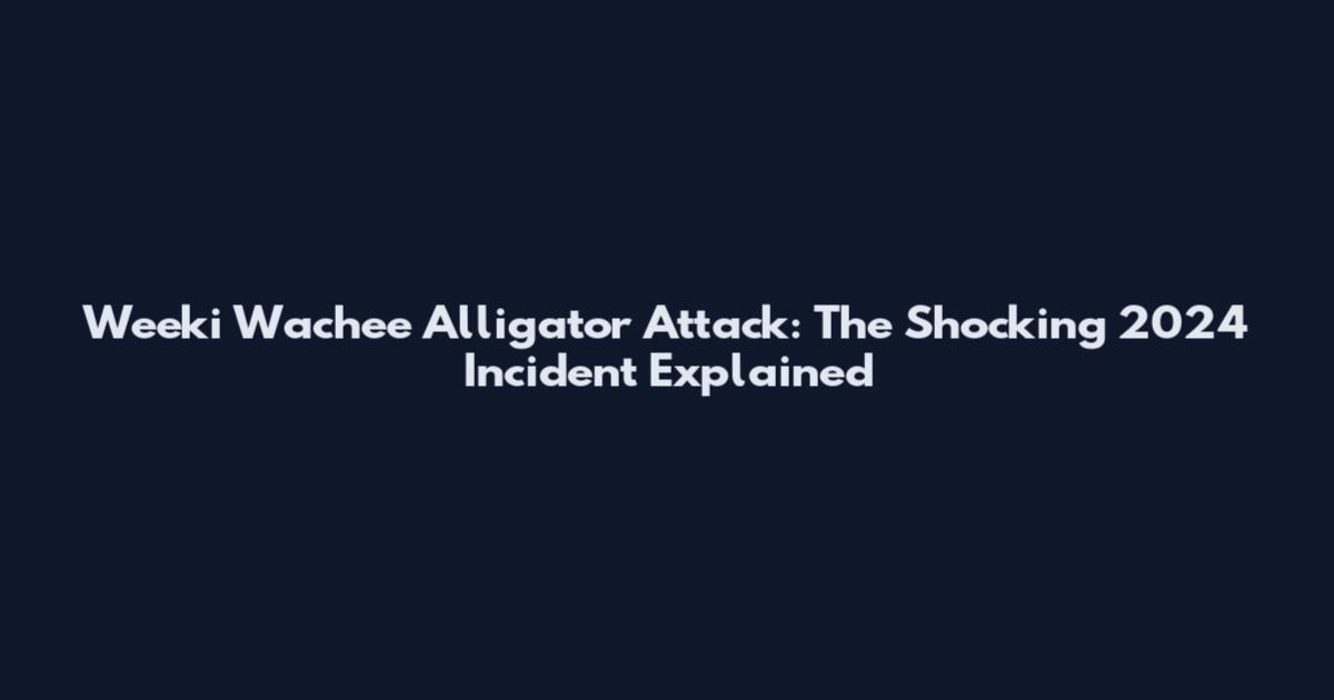 Weeki Wachee Alligator Attack: The Shocking 2024 Incident Explained