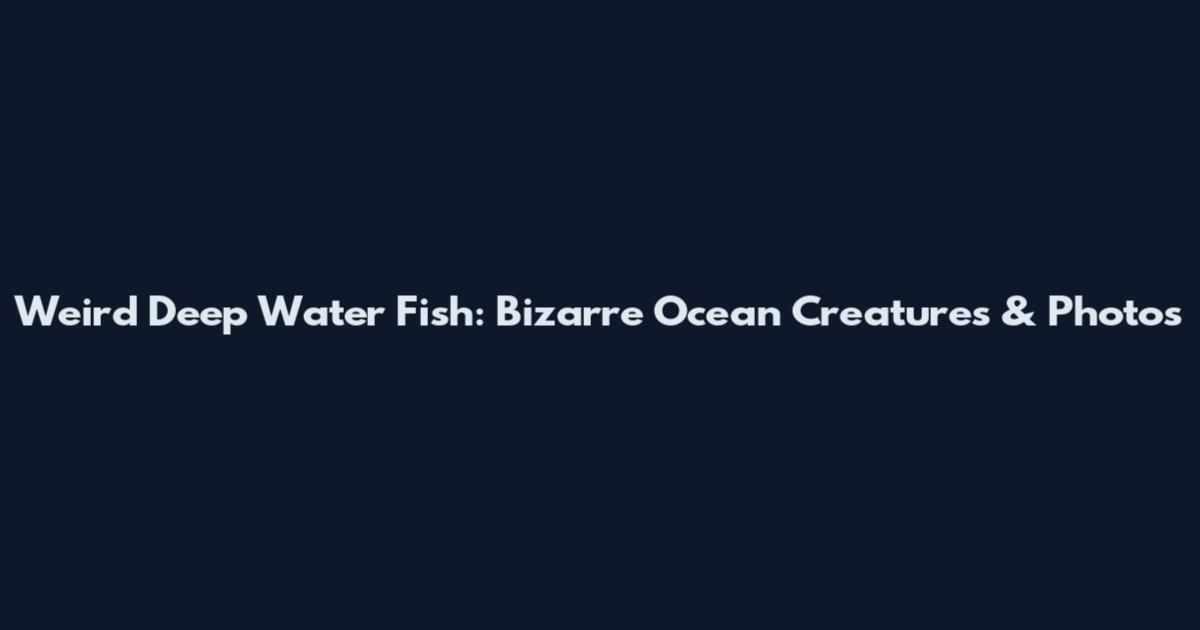 Weird Deep Water Fish: Bizarre Ocean Creatures & Photos