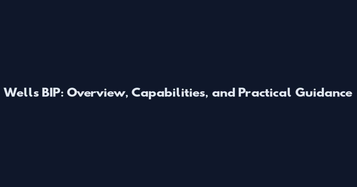 Wells BIP: Overview, Capabilities, and Practical Guidance
