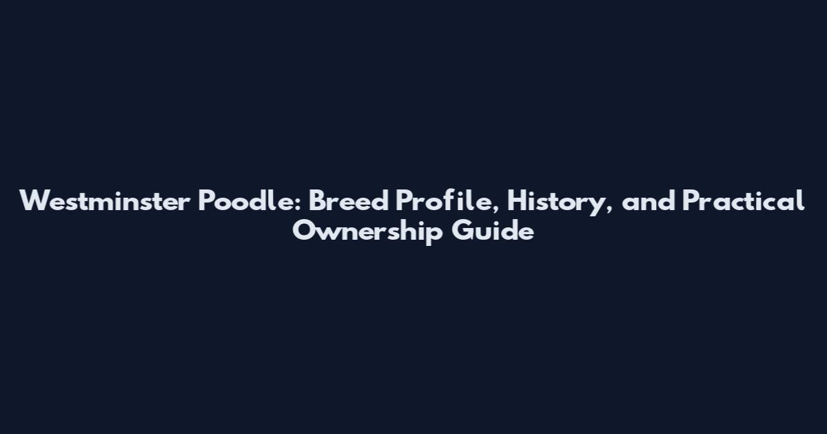 Westminster Poodle: Breed Profile, History, and Practical Ownership Guide