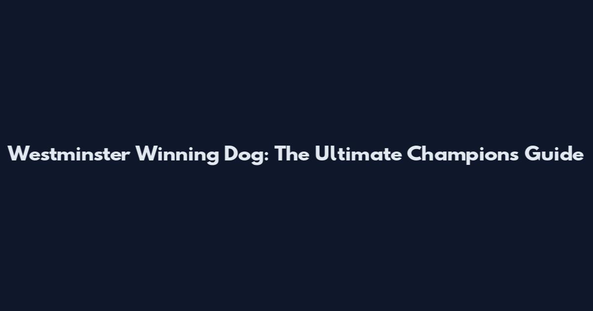 Westminster Winning Dog: The Ultimate Champions Guide