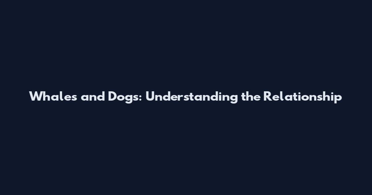 Whales and Dogs: Understanding the Relationship