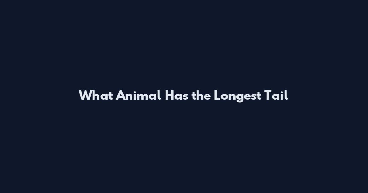 What Animal Has the Longest Tail
