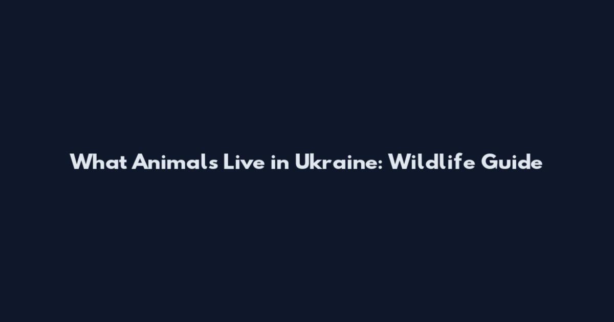 What Animals Live in Ukraine: Wildlife Guide
