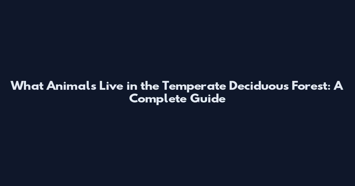 What Animals Live in the Temperate Deciduous Forest: A Complete Guide
