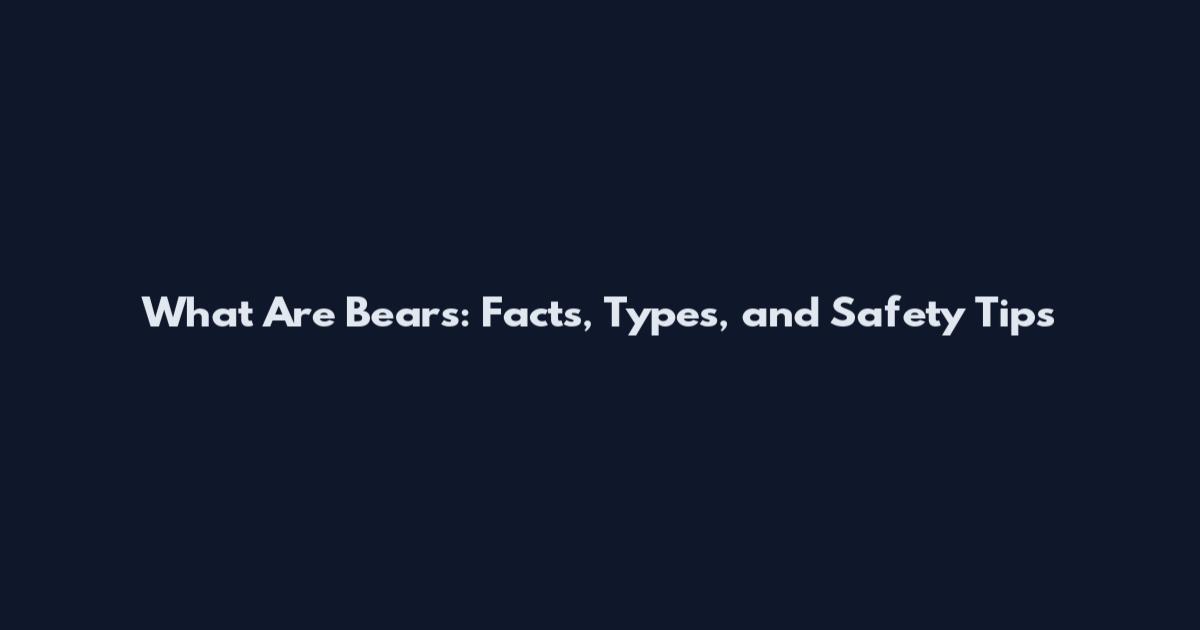What Are Bears: Facts, Types, and Safety Tips