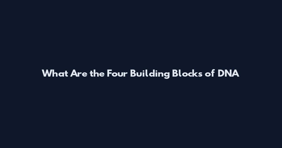 What Are the Four Building Blocks of DNA