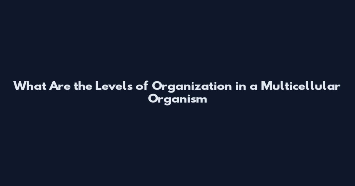 What Are the Levels of Organization in a Multicellular Organism