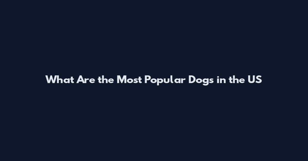 What Are the Most Popular Dogs in the US