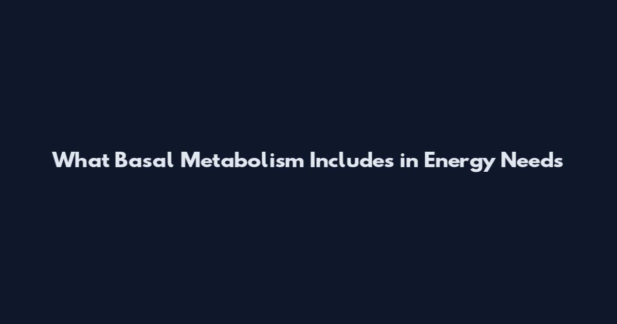 What Basal Metabolism Includes in Energy Needs