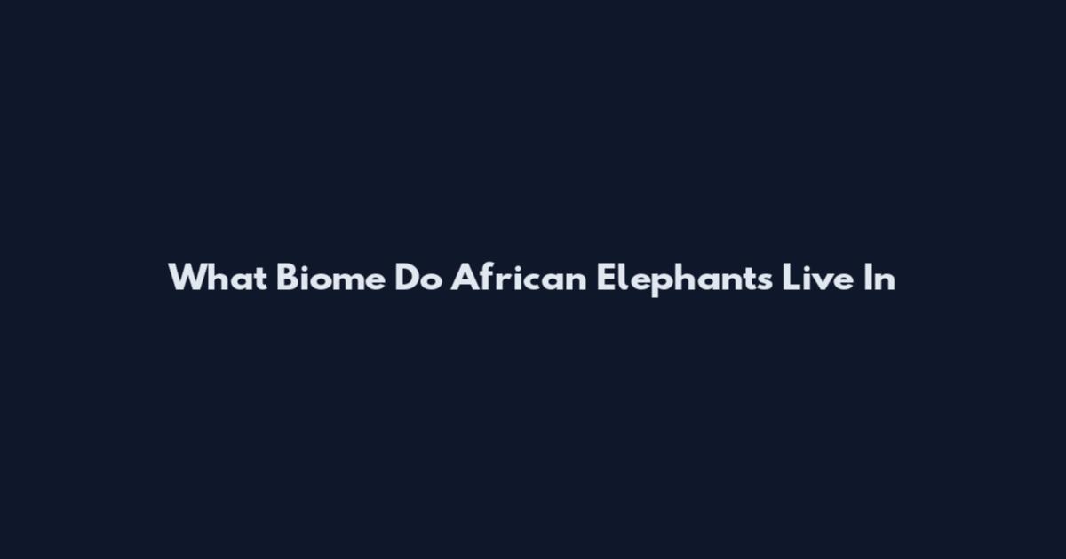 What Biome Do African Elephants Live In