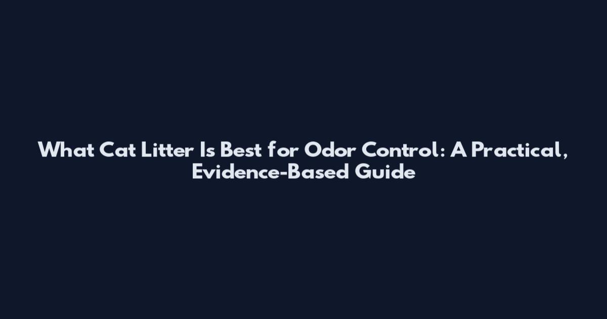 What Cat Litter Is Best for Odor Control: A Practical, Evidence-Based Guide