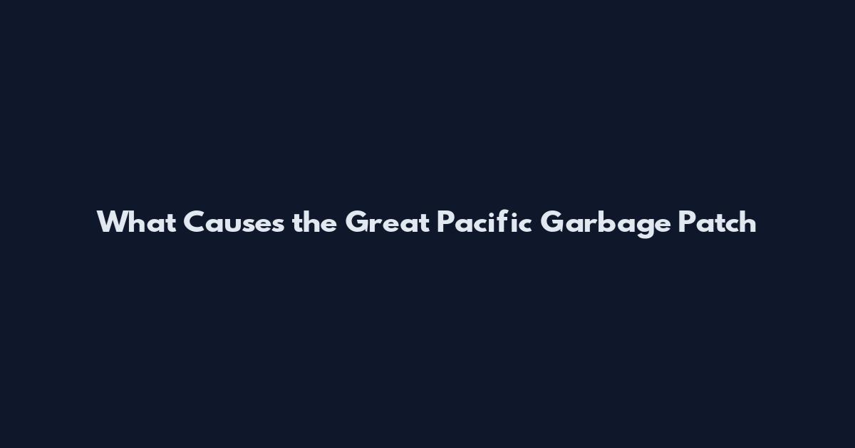 What Causes the Great Pacific Garbage Patch
