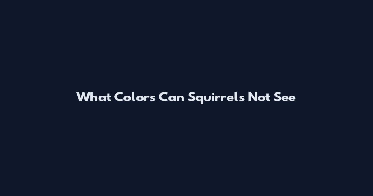 What Colors Can Squirrels Not See