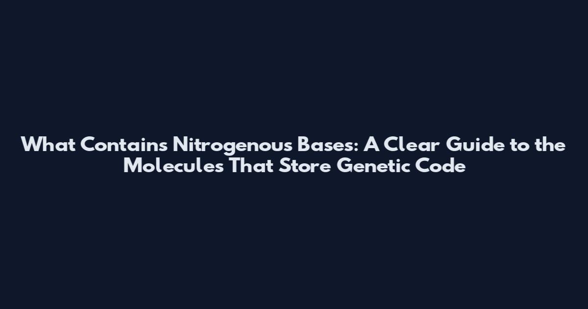 What Contains Nitrogenous Bases: A Clear Guide to the Molecules That Store Genetic Code