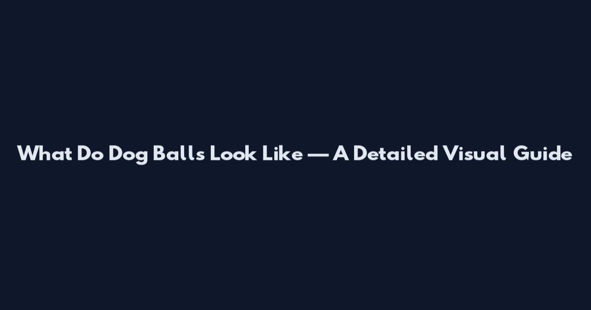 What Do Dog Balls Look Like — A Detailed Visual Guide